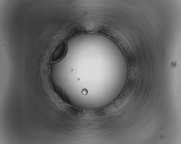 X0000103171249200808221226