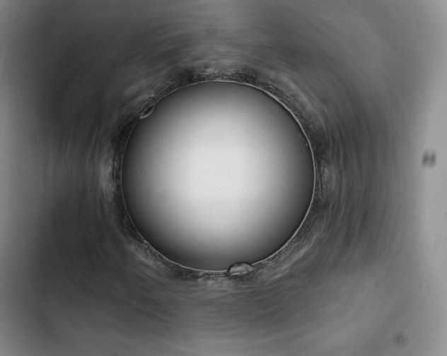 X0000103171250200808221226