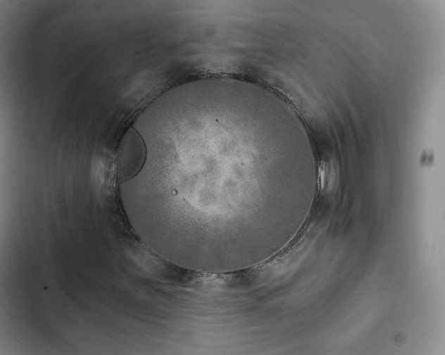 X0000103171251200808221226