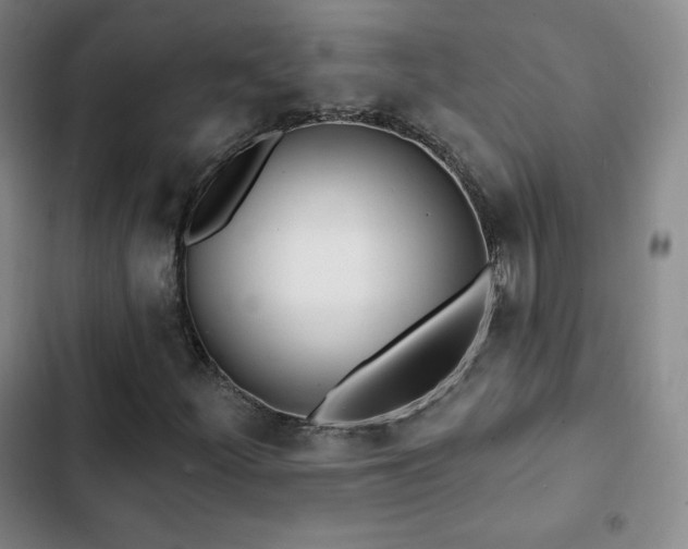 X0000103171252200808221226