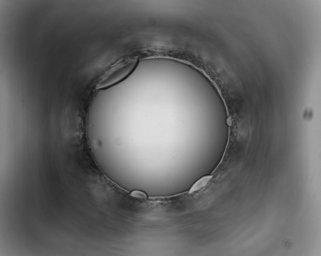X0000103171253200808221226