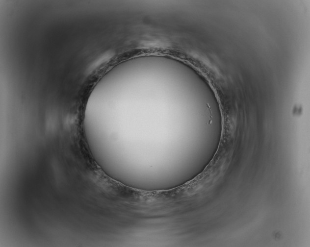 X0000103171254200808221226