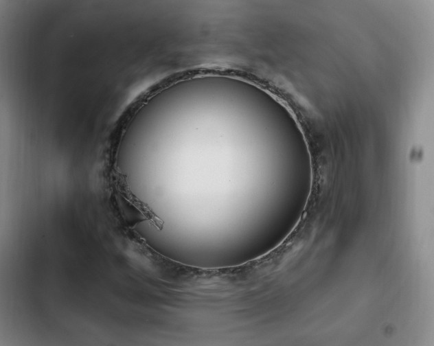 X0000103171256200808221226