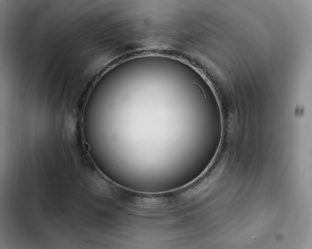 X0000103171257200808221226