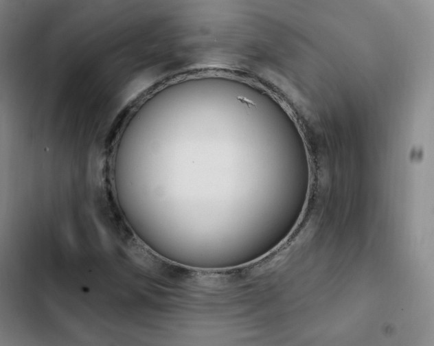 X0000103171258200808221226