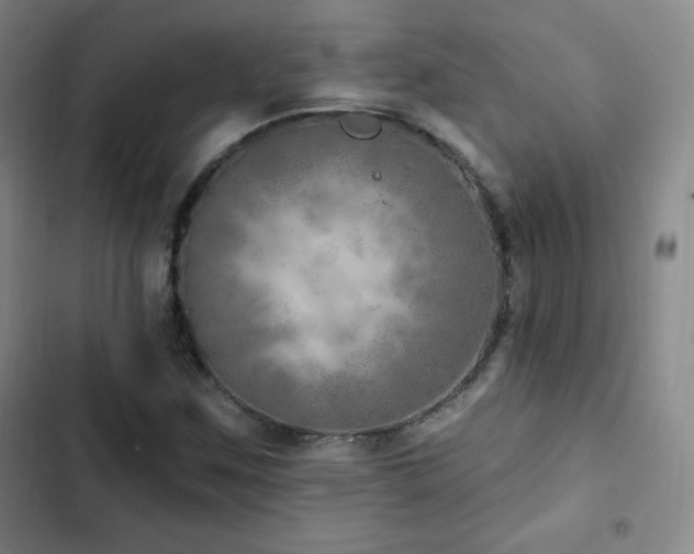 X0000103171259200808221226