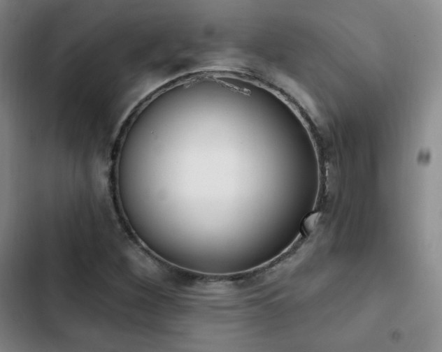 X0000103171260200808221226