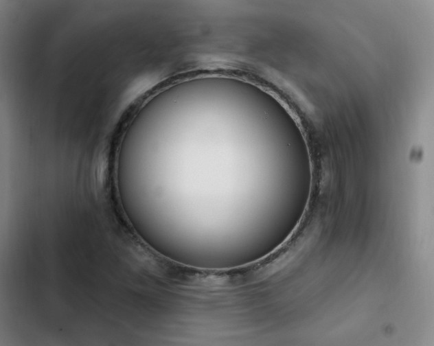 X0000103171261200808221226