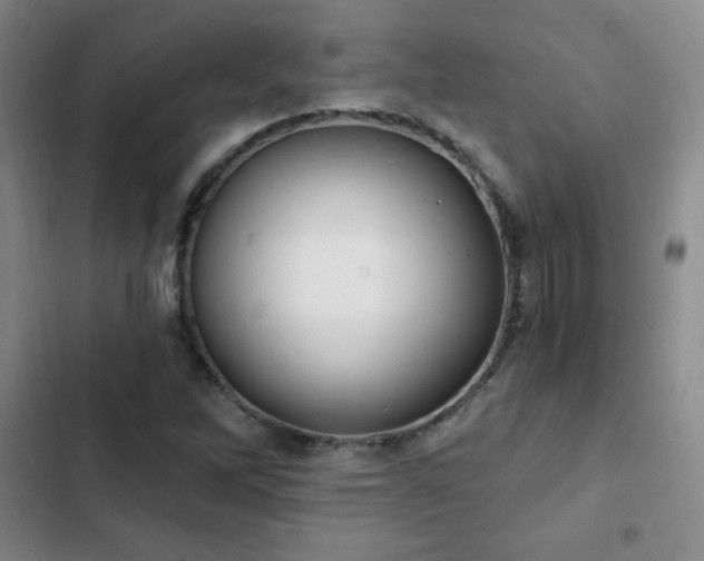 X0000103171262200808221226