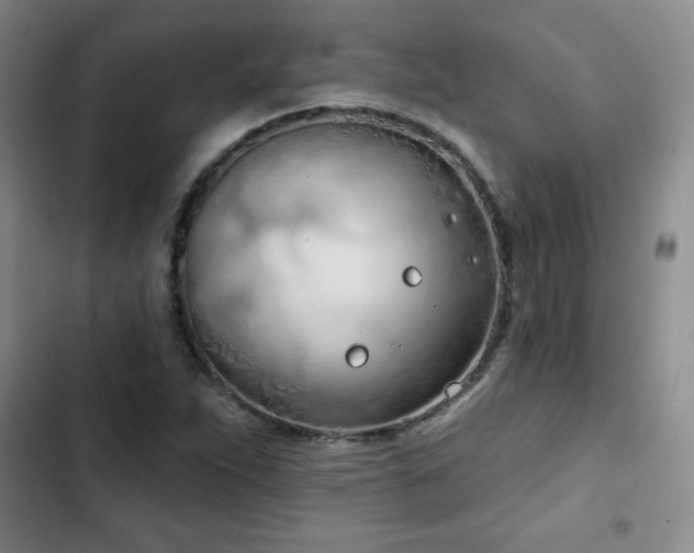 X0000103171263200808221226
