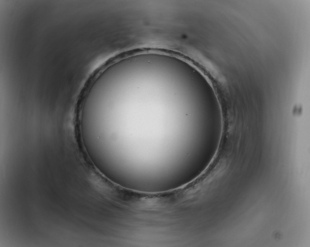 X0000103171264200808221226