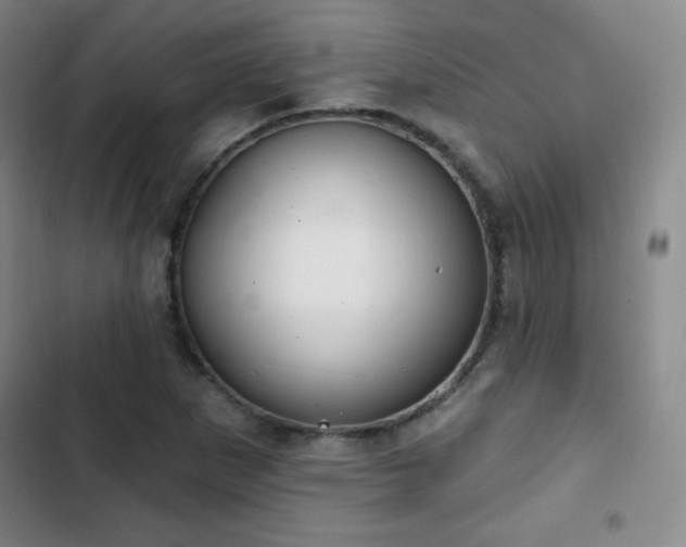 X0000103171265200808221226