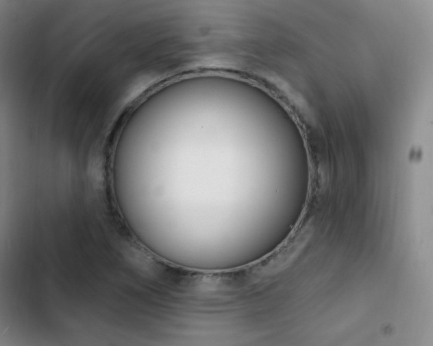 X0000103171266200808221226