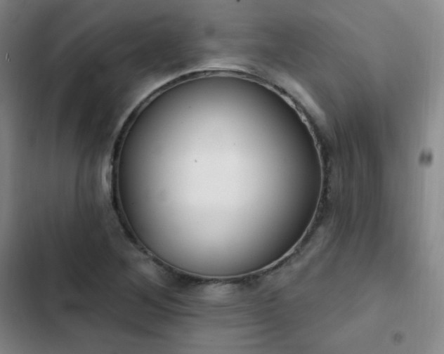 X0000103171268200808221226
