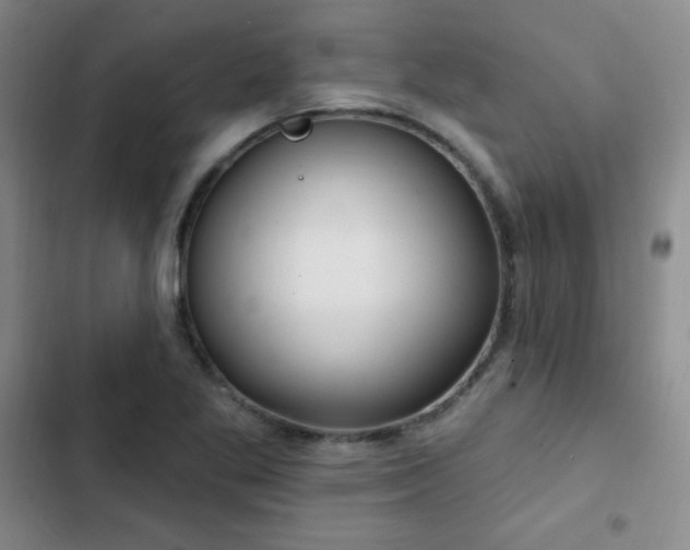 X0000103171269200808221226