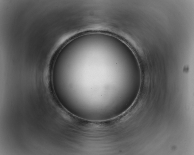 X0000103171270200808221226