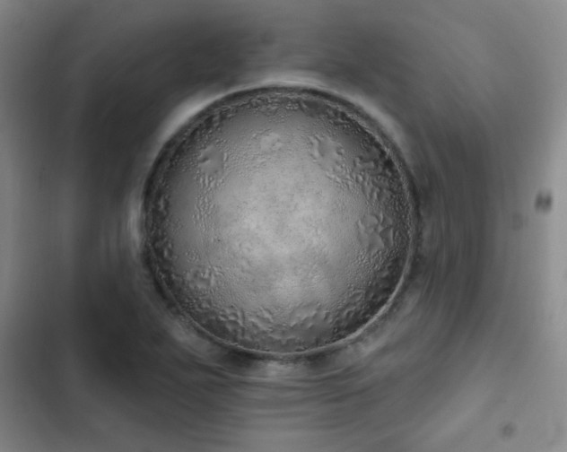 X0000103171271200808221226