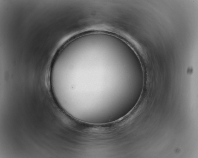 X0000103171272200808221226