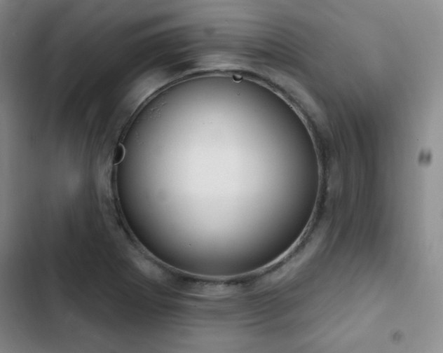 X0000103171273200808221226