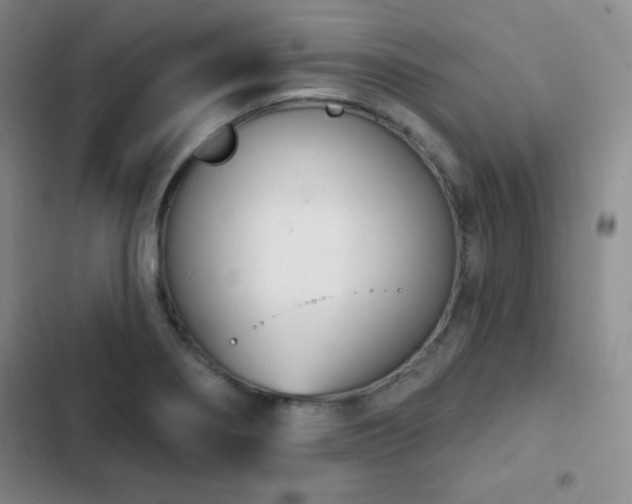 X0000103171274200808221226