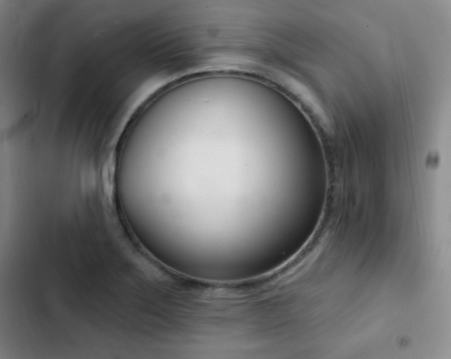 X0000103171275200808221226