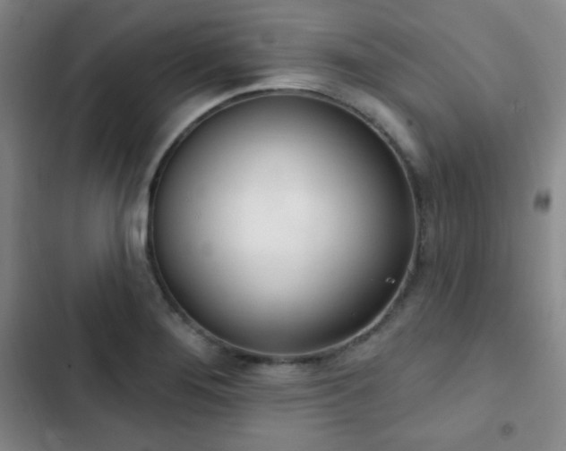 X0000103171276200808221226