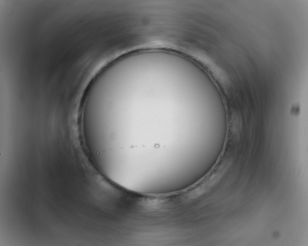 X0000103171278200808221226