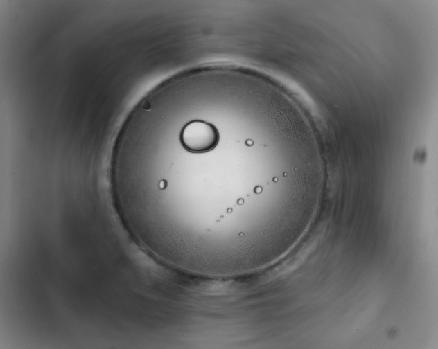 X0000103171279200808221226