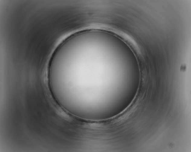 X0000103171280200808221226