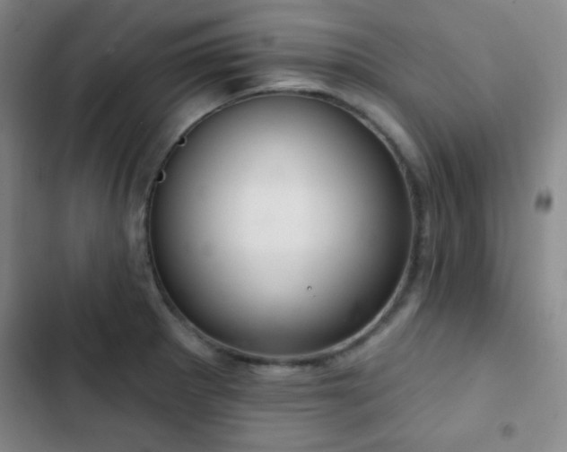 X0000103171281200808221226