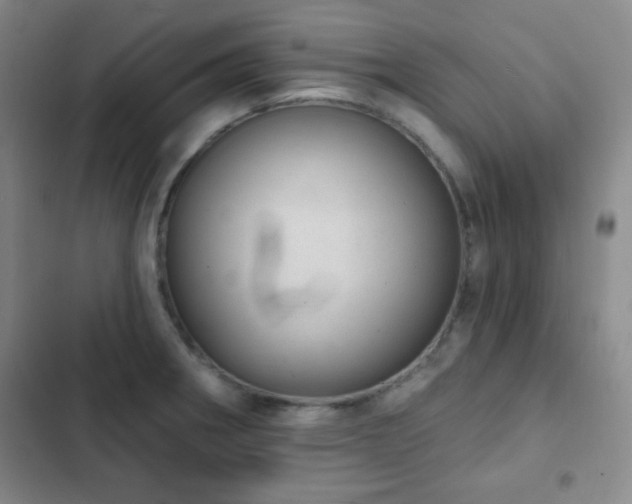 X0000103171282200808221226