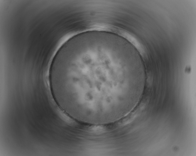 X0000103171283200808221226