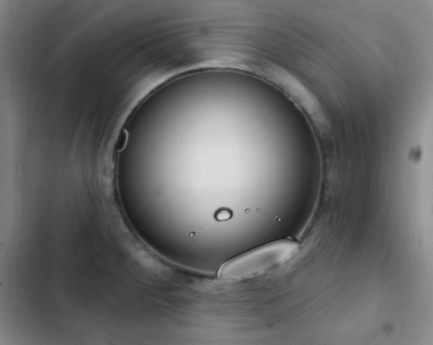 X0000103171284200808221226