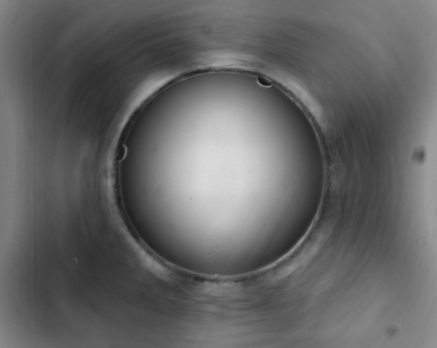 X0000103171285200808221226
