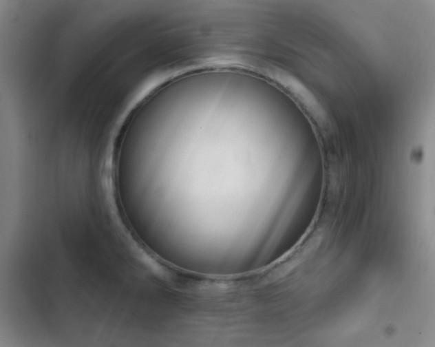 X0000103171286200808221226