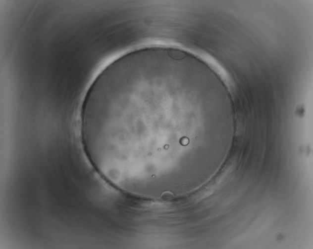 X0000103171287200808221226