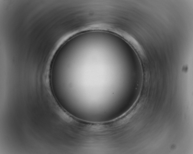 X0000103171288200808221226