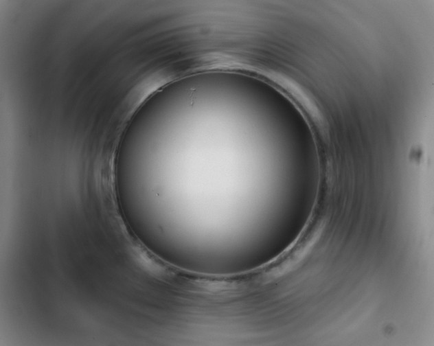 X0000103171289200808221226