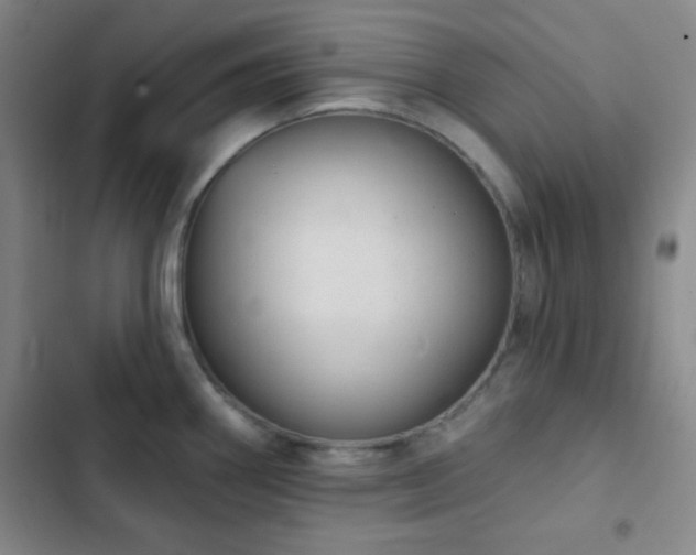 X0000103171290200808221226