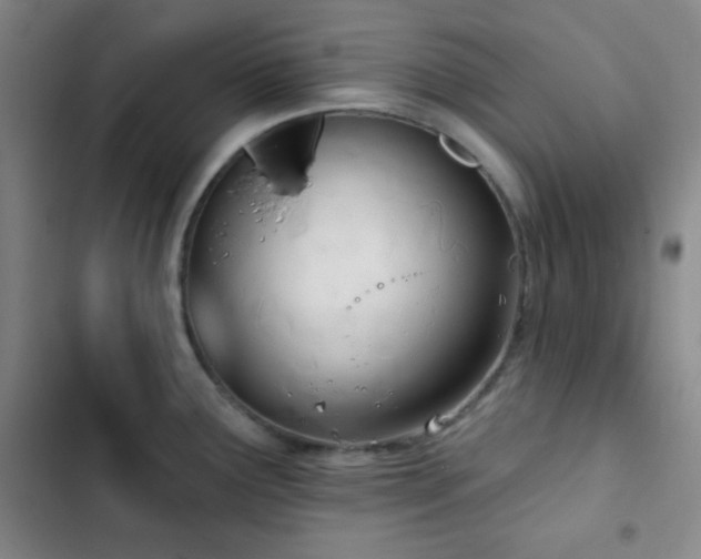 X0000103171291200808221225