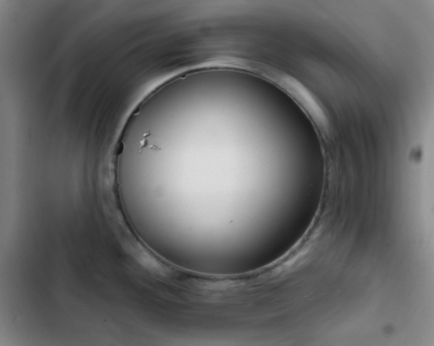X0000103171292200808221225
