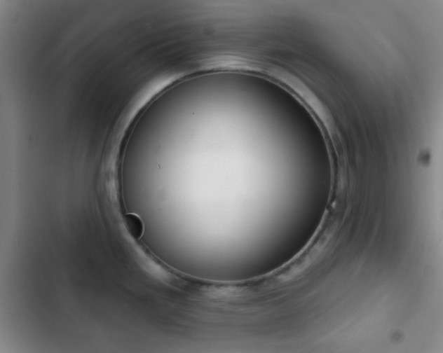 X0000103171293200808221225