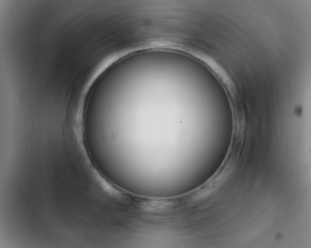 X0000103171294200808221225
