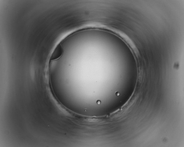 X0000103171295200808221225