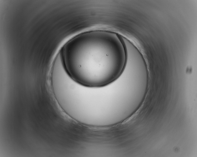X0000103171296200808221225