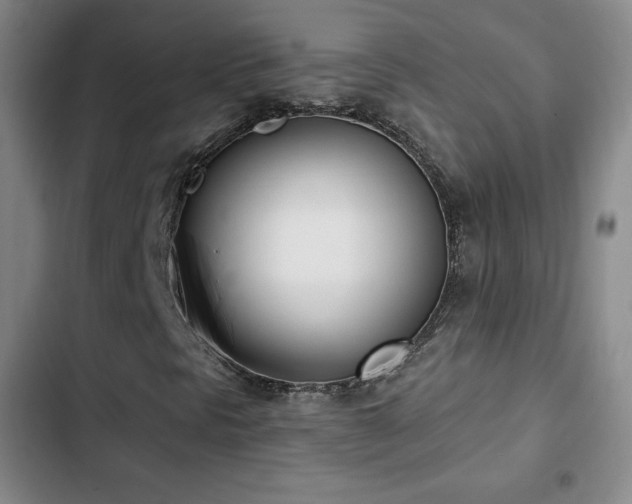 X0000103171297200808221225