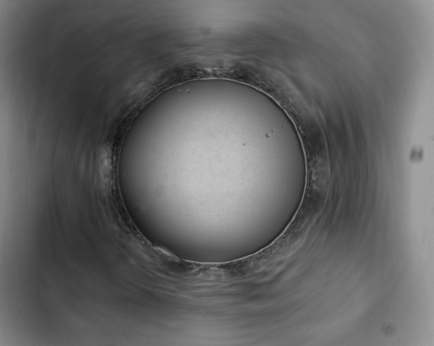 X0000103171298200808221225