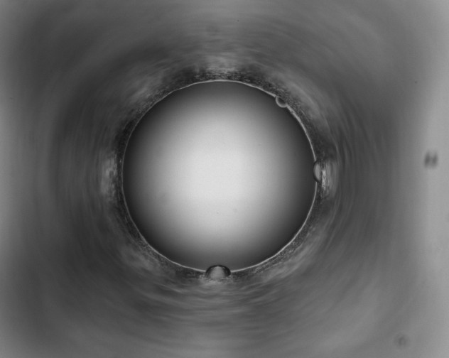 X0000103171299200808221225