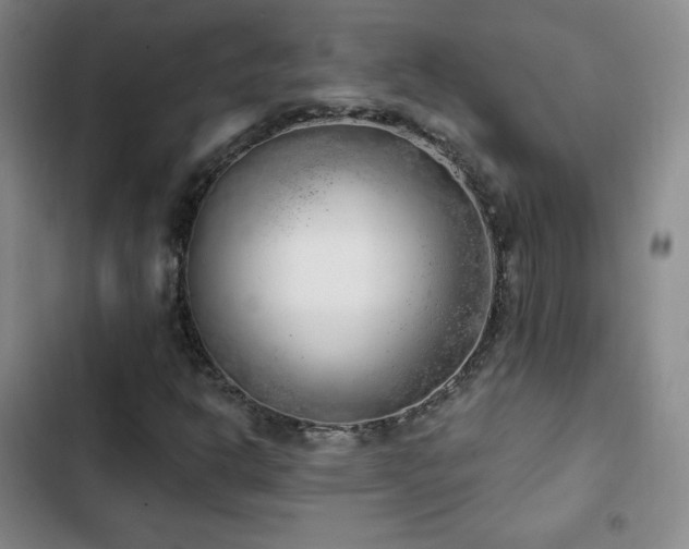 X0000103171302200808221225