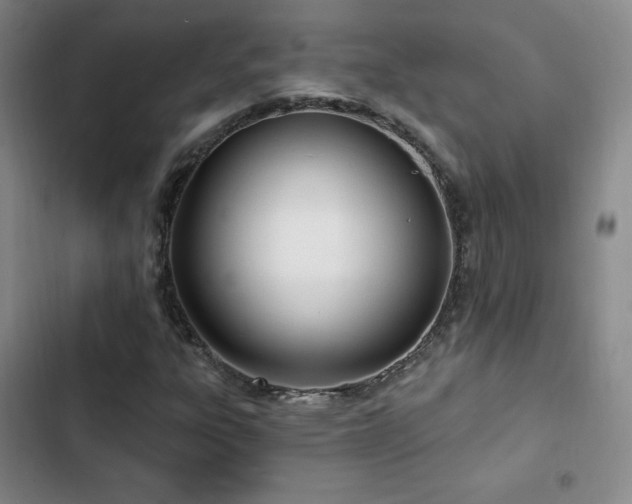 X0000103171303200808221225